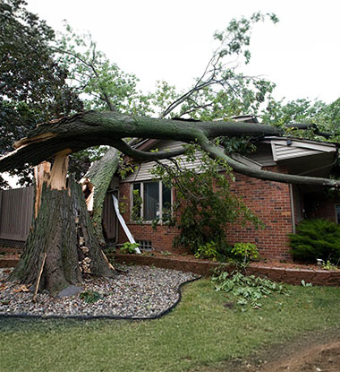 Roof punctured by fallen tree in Utah County residential area