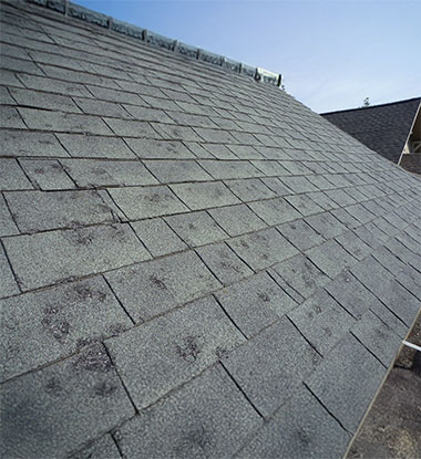 Close up of hail damage to asphalt shingles in Utah County